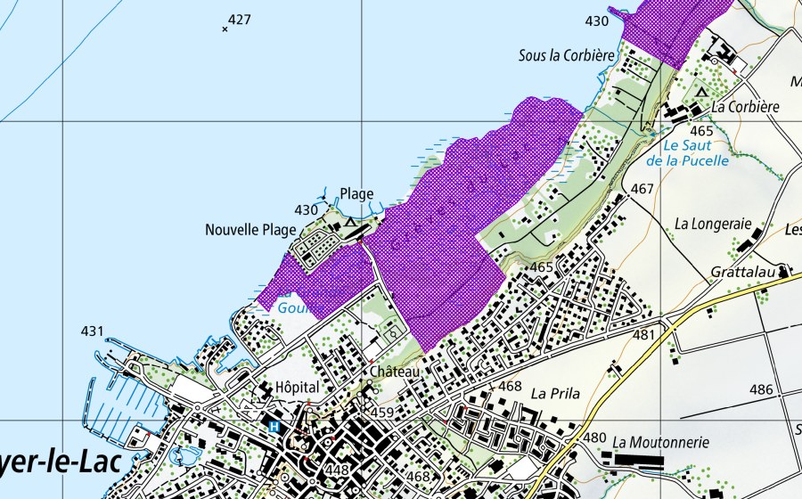swisstopo national map showing the protected perimeter of La Grève, La Grande Gouille (Amphibian spawning site)