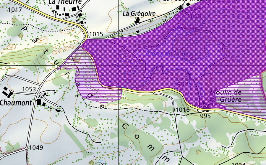 Carte nationale swisstopo avec le périmètre protégé de La Gruère (Site de reproduction de batraciens)