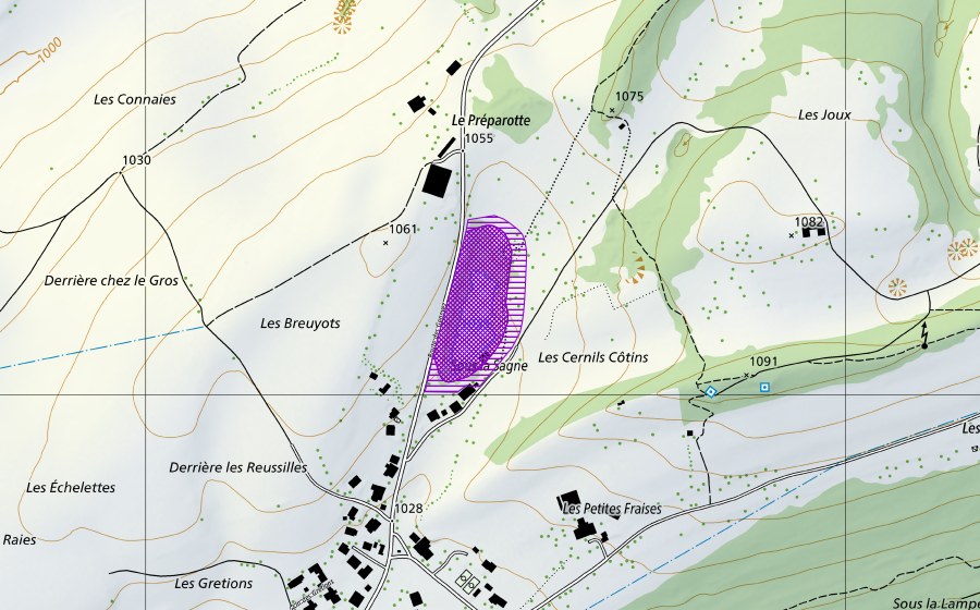 swisstopo national map showing the protected perimeter of La Marnière (Amphibian spawning site)