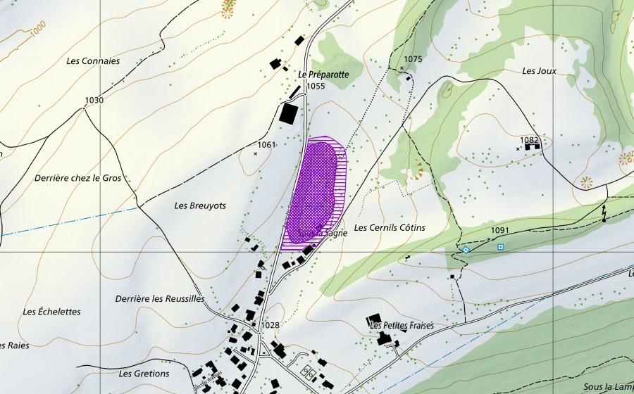 Landeskarte swisstopo mit dem Schutzperimeter von La Marnière (Amphibienlaichgebiet)