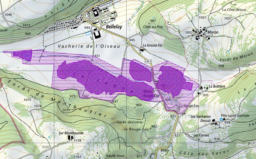 swisstopo national map showing the protected perimeter of La Noz, tourbière de La Sagne (Amphibian spawning site)