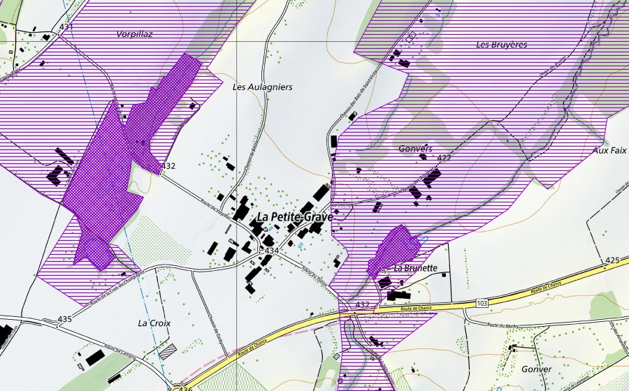 swisstopo national map showing the protected perimeter of La Petite Grave (Amphibian spawning site)