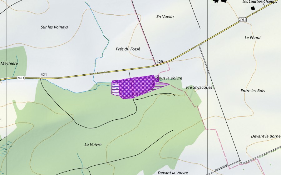 Carta nazionale swisstopo con il perimetro protetto di La Voivre Nord (Sito di riproduzione di anfibi)
