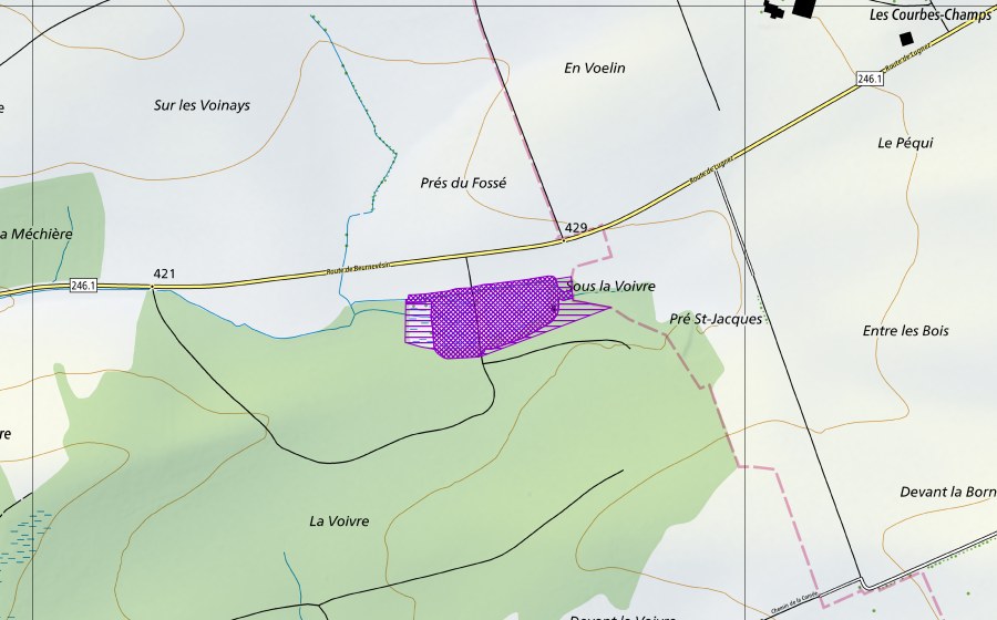 Landeskarte swisstopo mit dem Schutzperimeter von La Voivre Nord (Amphibienlaichgebiet)