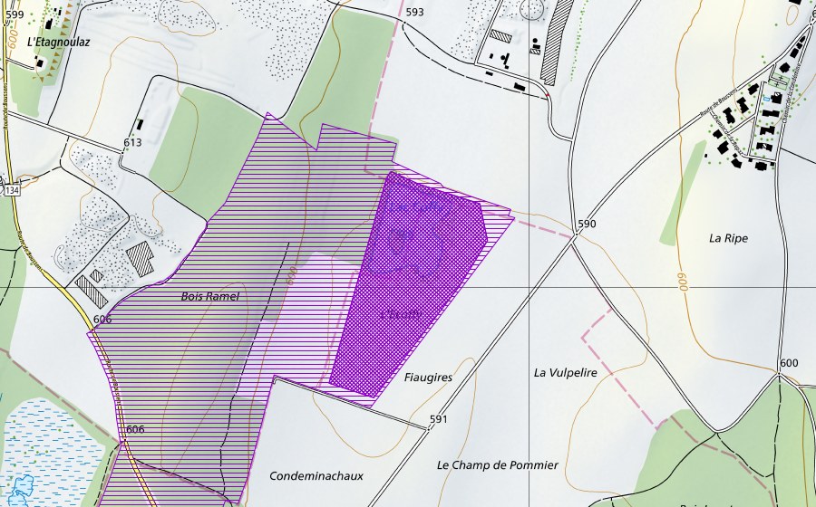 Landeskarte swisstopo mit dem Schutzperimeter von Lac Coffy, Bois Ramel (Amphibienlaichgebiet)
