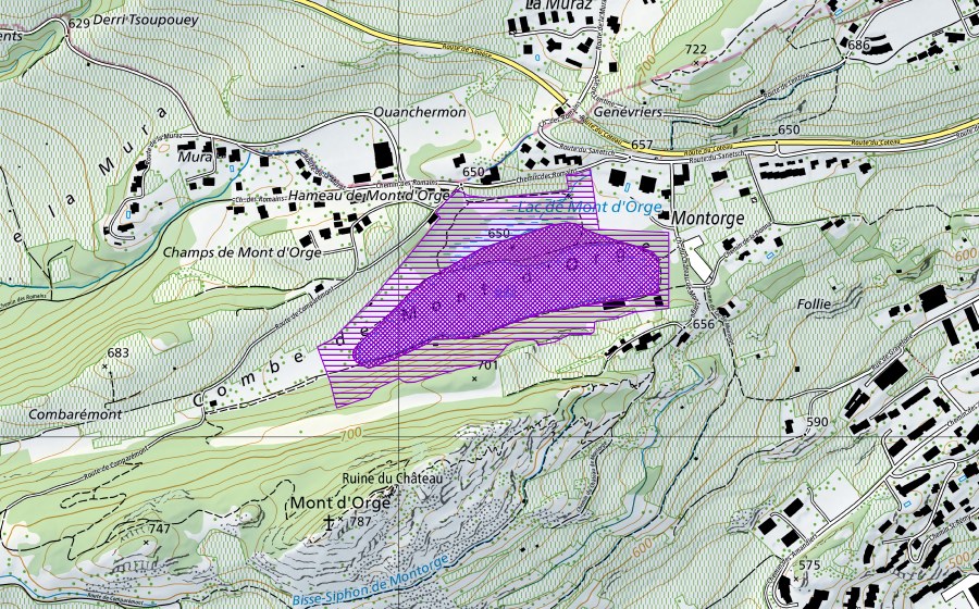 swisstopo national map showing the protected perimeter of Lac de Mont d'Orge (Amphibian spawning site)