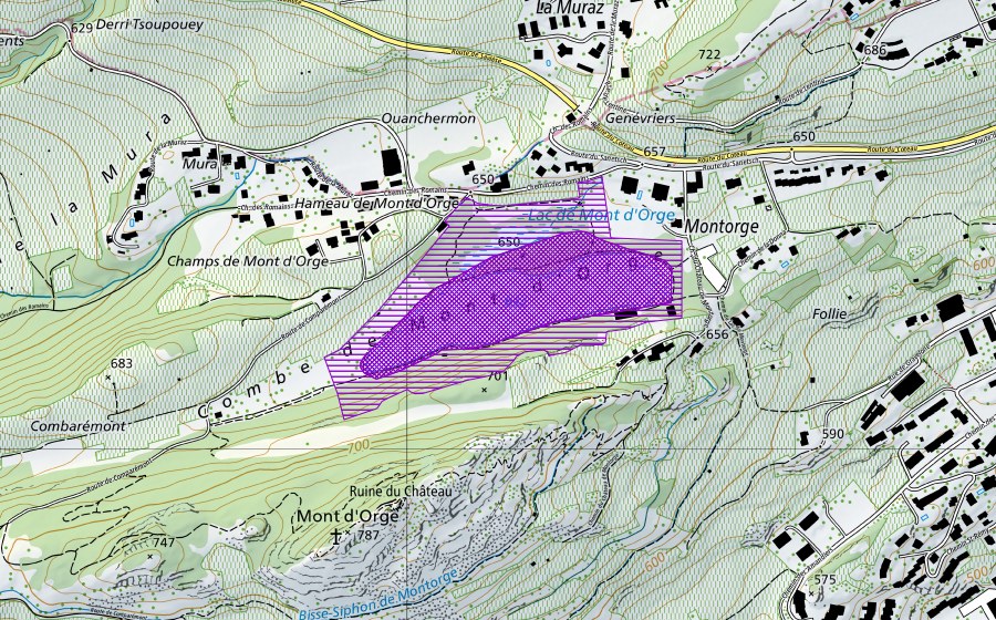 Carte nationale swisstopo avec le périmètre protégé de Lac de Mont d'Orge (Site de reproduction de batraciens)