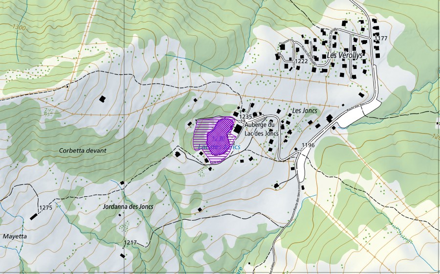 swisstopo national map showing the protected perimeter of Lac des Joncs (Amphibian spawning site)