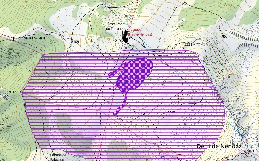 Carta nazionale swisstopo con il perimetro protetto di Lac Noir (Sito di riproduzione di anfibi)