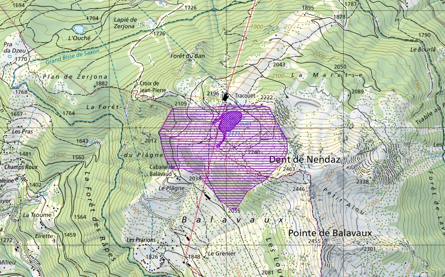 Landeskarte swisstopo mit dem Schutzperimeter von Lac Noir (Amphibienlaichgebiet)