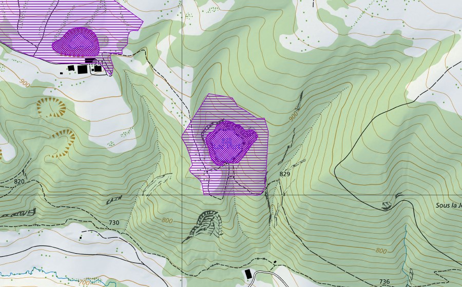 swisstopo national map showing the protected perimeter of Lac Vert (Amphibian spawning site)