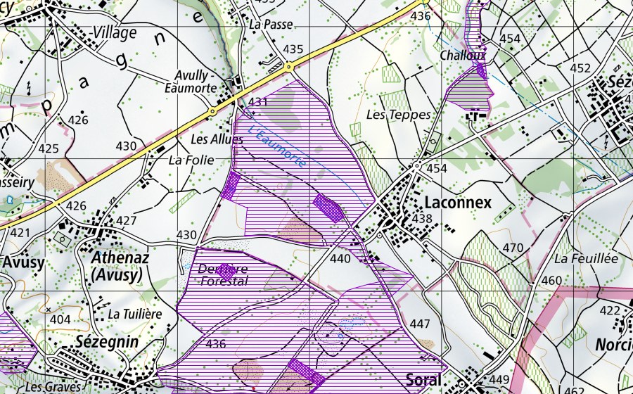 Landeskarte swisstopo mit dem Schutzperimeter von Laconnex (Amphibienlaichgebiet)