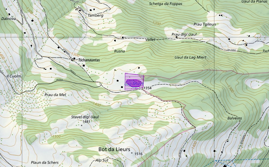 swisstopo national map showing the protected perimeter of Lag Miert (Amphibian spawning site)