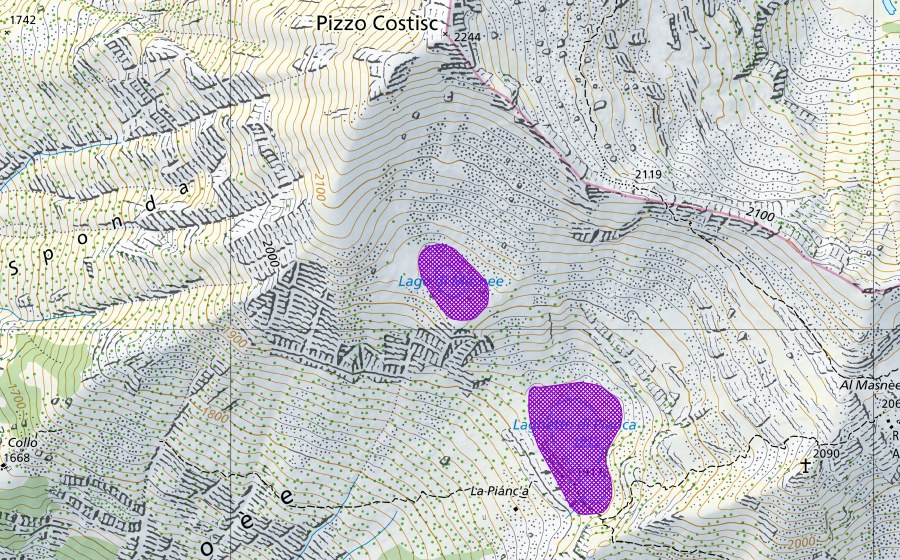 Landeskarte swisstopo mit dem Schutzperimeter von Lago di Masnee (Amphibienlaichgebiet)
