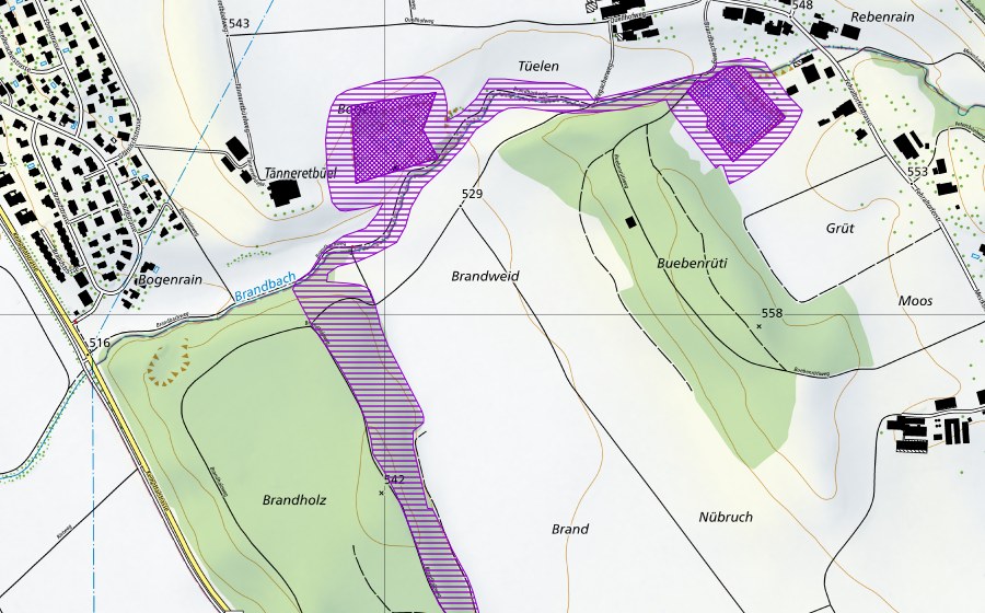 swisstopo national map showing the protected perimeter of Laichgebiet Bogen-Mesikon-Brand (Amphibian spawning site)