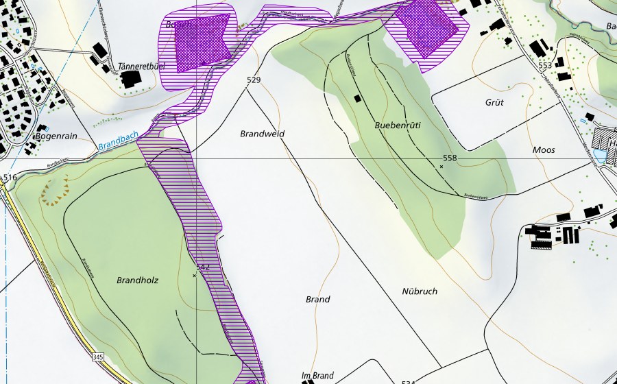swisstopo national map showing the protected perimeter of Laichgebiet Bogen-Mesikon-Brand (Amphibian spawning site)