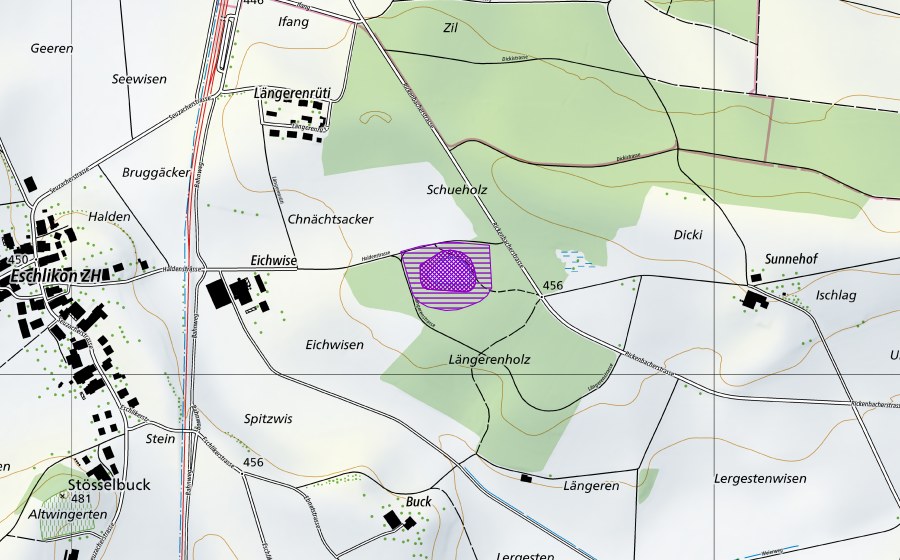 Landeskarte swisstopo mit dem Schutzperimeter von Längerenweiher (Amphibienlaichgebiet)