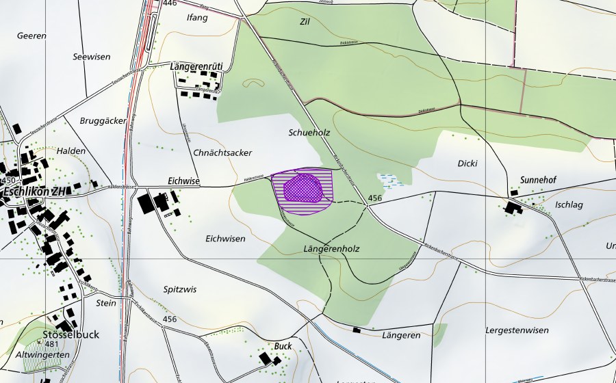 swisstopo national map showing the protected perimeter of Längerenweiher (Amphibian spawning site)