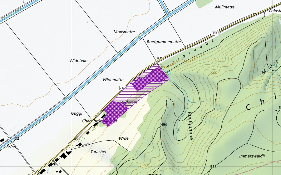 swisstopo national map showing the protected perimeter of Lätti Gals (Amphibian spawning site)