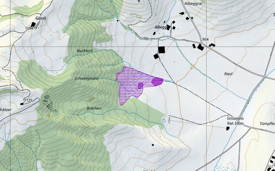 Landeskarte swisstopo mit dem Schutzperimeter von Lauenen (Amphibienlaichgebiet)