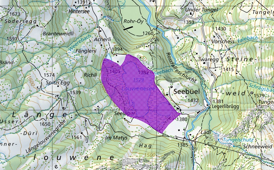 swisstopo national map showing the protected perimeter of Lauenensee (Amphibian spawning site)