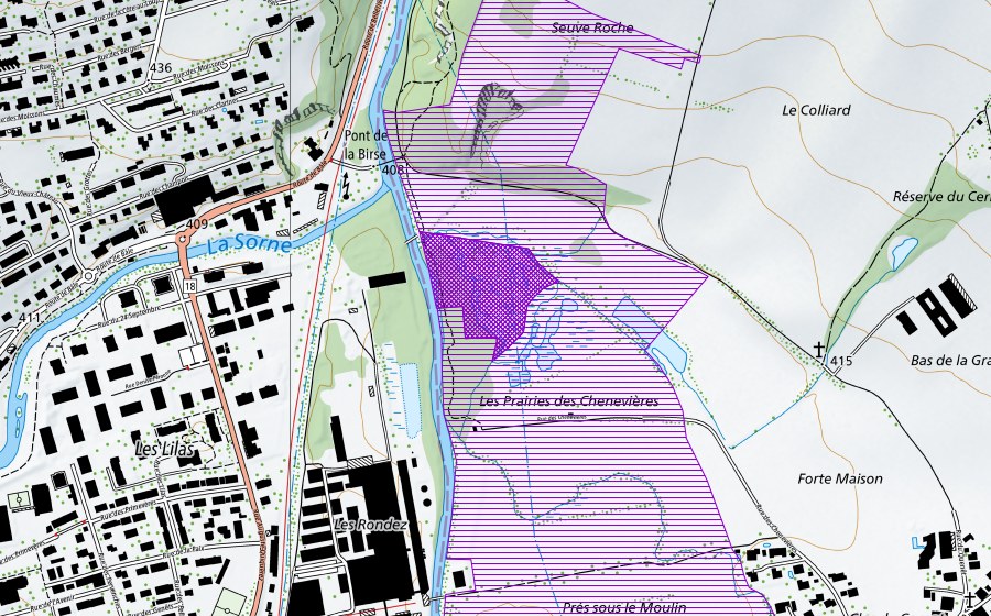 swisstopo national map showing the protected perimeter of Le Colliard (Amphibian spawning site)