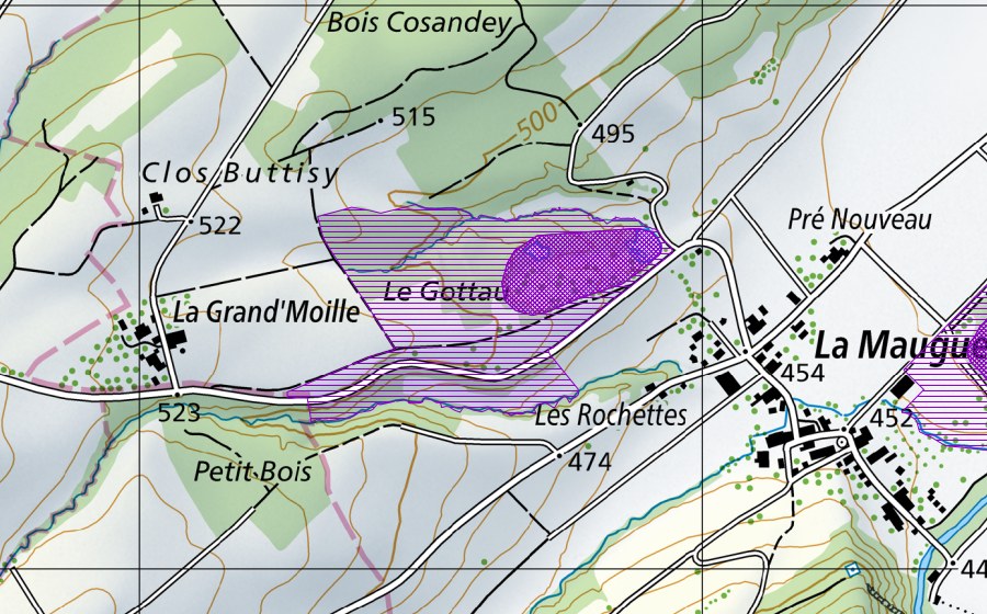 Landeskarte swisstopo mit dem Schutzperimeter von Le Gottau (Amphibienlaichgebiet)