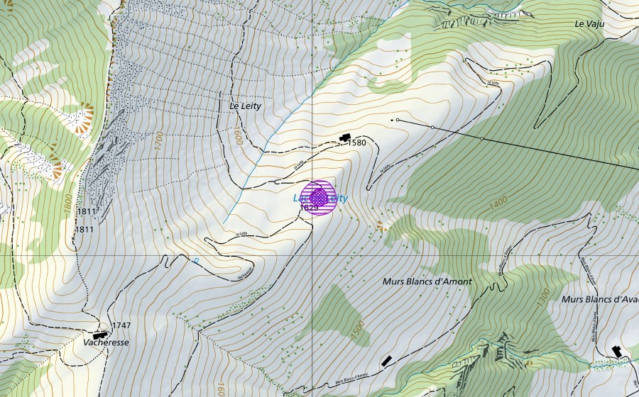 swisstopo national map showing the protected perimeter of Le Liti (Amphibian spawning site)