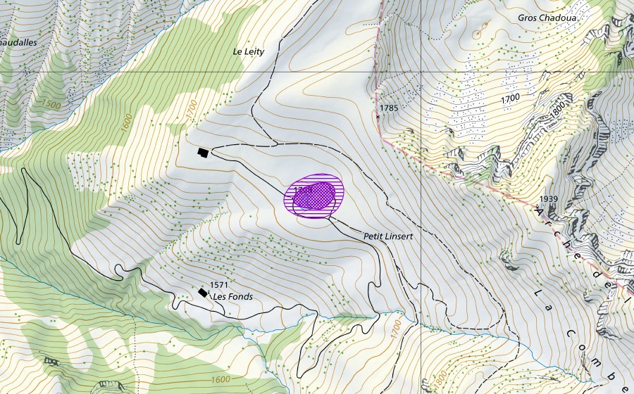 Carta nazionale swisstopo con il perimetro protetto di Le Lity (Sito di riproduzione di anfibi)