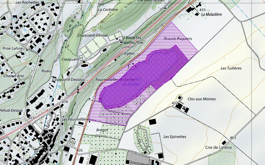 Carta nazionale swisstopo con il perimetro protetto di Le Loclat (Sito di riproduzione di anfibi)
