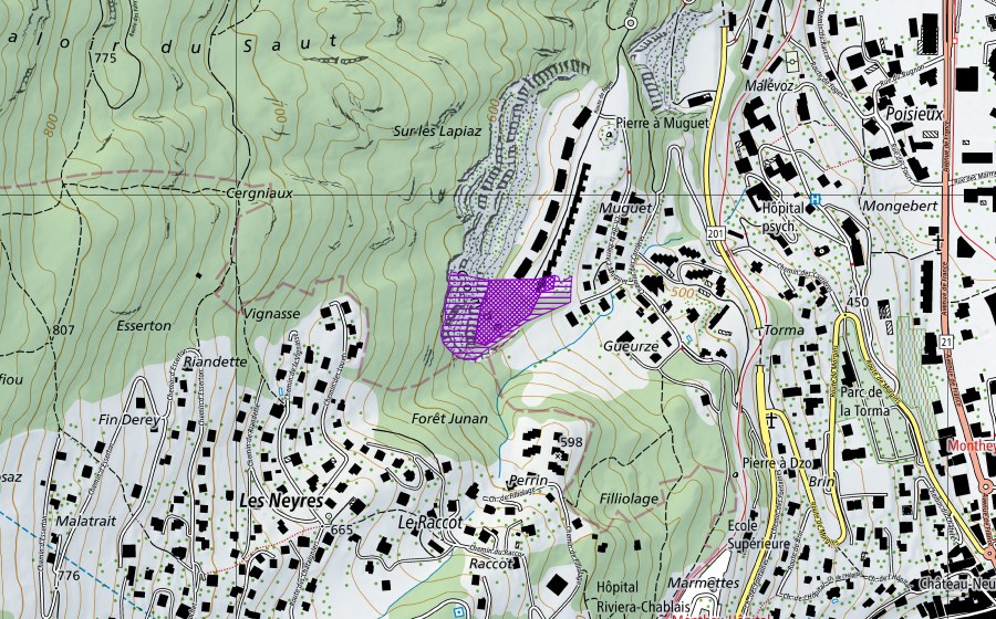 Landeskarte swisstopo mit dem Schutzperimeter von Le Malévoz (Amphibienlaichgebiet)