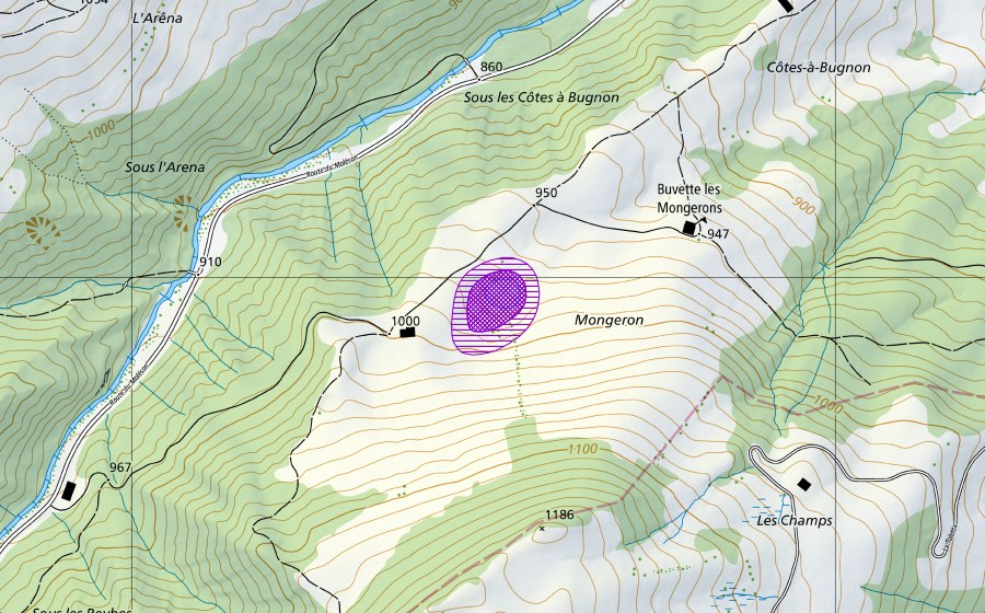 Landeskarte swisstopo mit dem Schutzperimeter von Le Mongeron (Amphibienlaichgebiet)