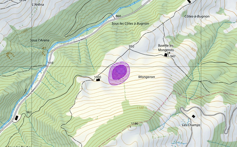 Landeskarte swisstopo mit dem Schutzperimeter von Le Mongeron (Amphibienlaichgebiet)