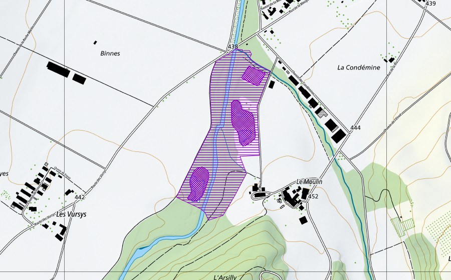 Landeskarte swisstopo mit dem Schutzperimeter von Le Moulin (Amphibienlaichgebiet)