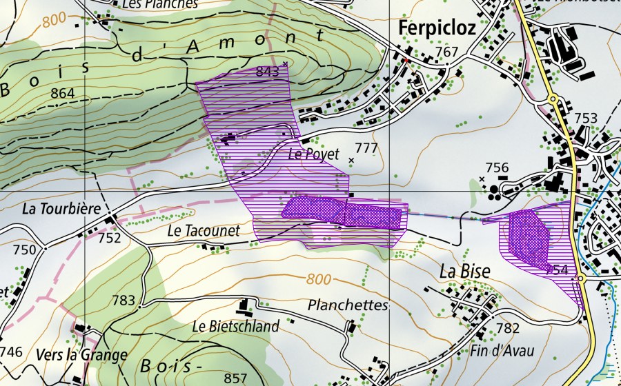 Landeskarte swisstopo mit dem Schutzperimeter von Le Taconnet (Amphibienlaichgebiet)