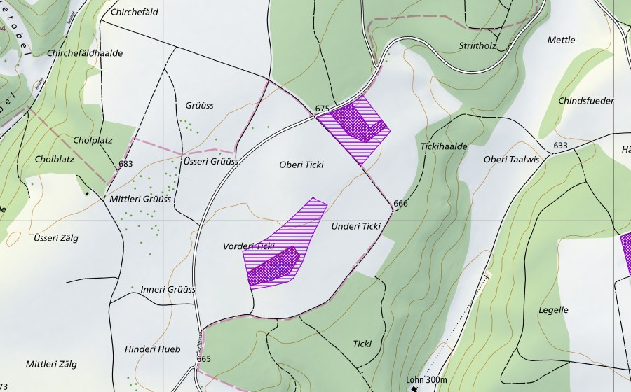 Landeskarte swisstopo mit dem Schutzperimeter von Lehmlöcher Dicki (Amphibienlaichgebiet)