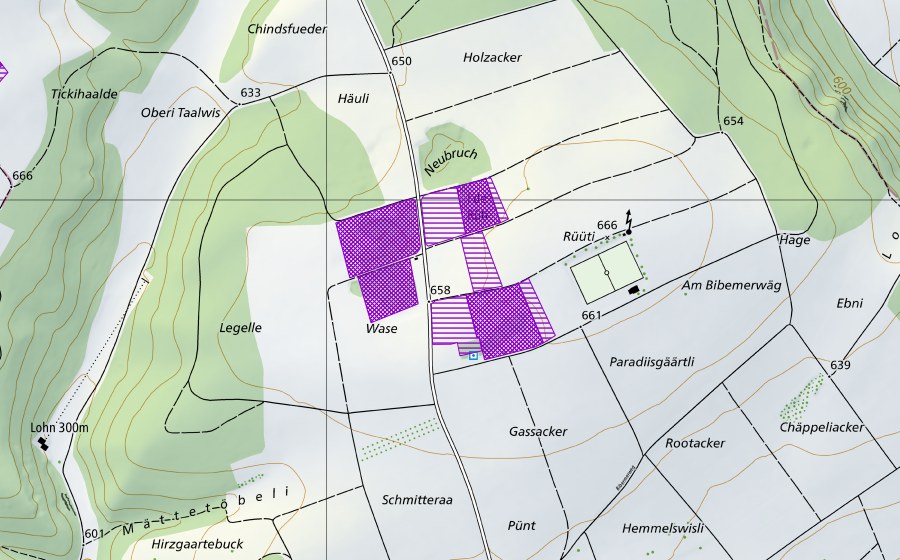 swisstopo national map showing the protected perimeter of Lehmlöcher Rüti (Amphibian spawning site)
