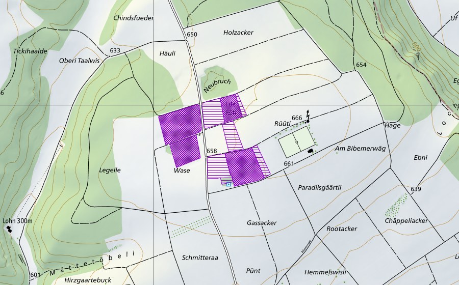 Landeskarte swisstopo mit dem Schutzperimeter von Lehmlöcher Rüti (Amphibienlaichgebiet)