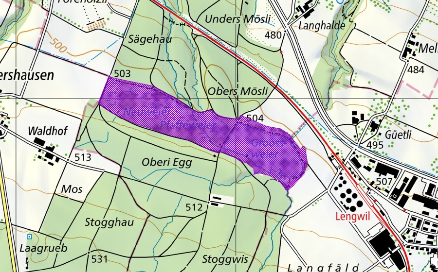 swisstopo national map showing the protected perimeter of Lengwiler Weiher (Amphibian spawning site)