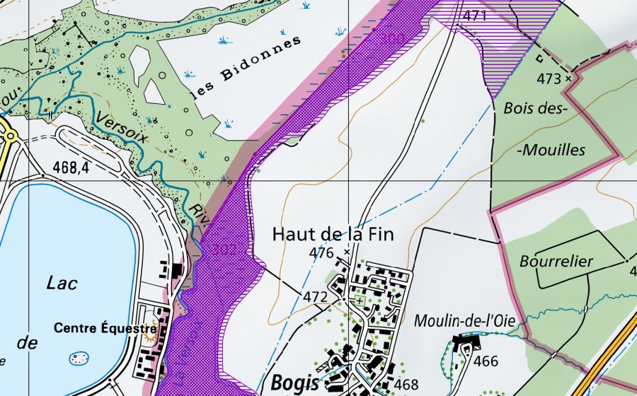 swisstopo national map showing the protected perimeter of Les Bidonnes (Amphibian spawning site)