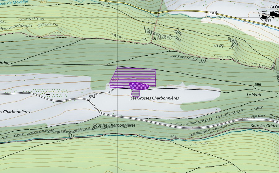 Landeskarte swisstopo mit dem Schutzperimeter von Les Charbonnières (Amphibienlaichgebiet)