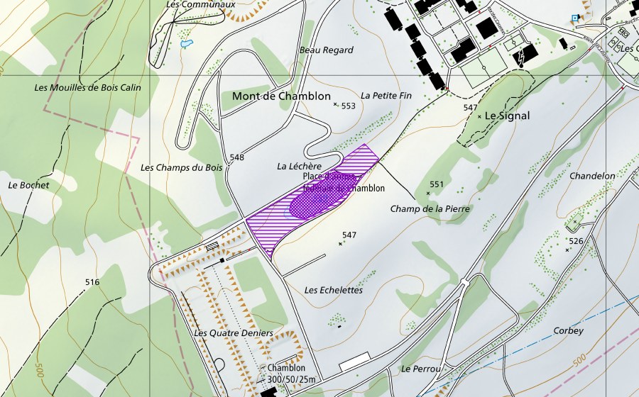 swisstopo national map showing the protected perimeter of Les Echelettes, La Léchère (Amphibian spawning site)