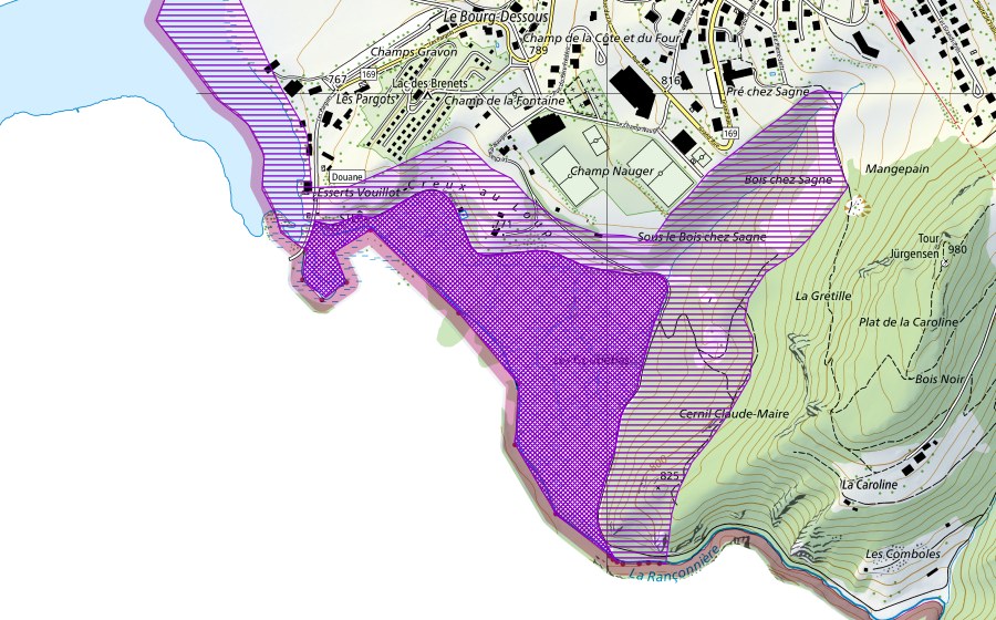 Carte nationale swisstopo avec le périmètre protégé de Les Goudebas (Site de reproduction de batraciens)