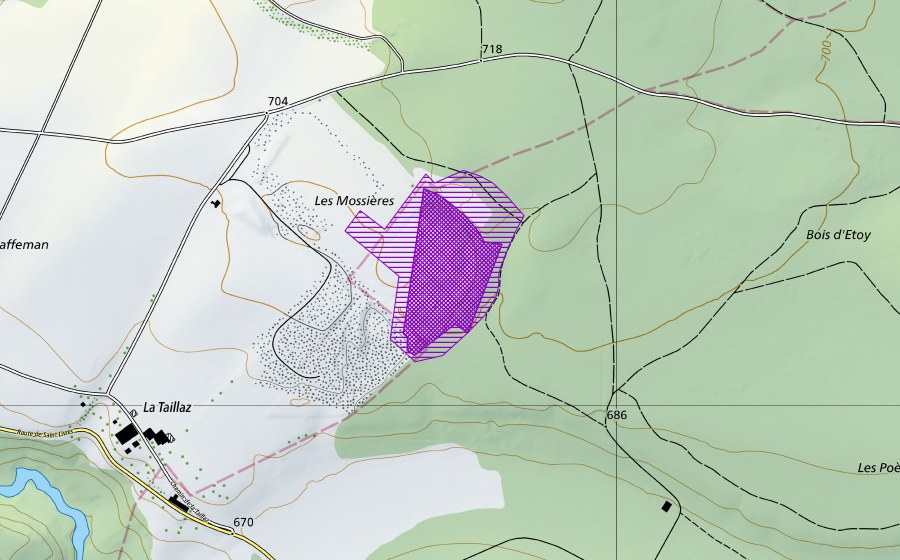 Landeskarte swisstopo mit dem Schutzperimeter von Les Mossières (Amphibienlaichgebiet)