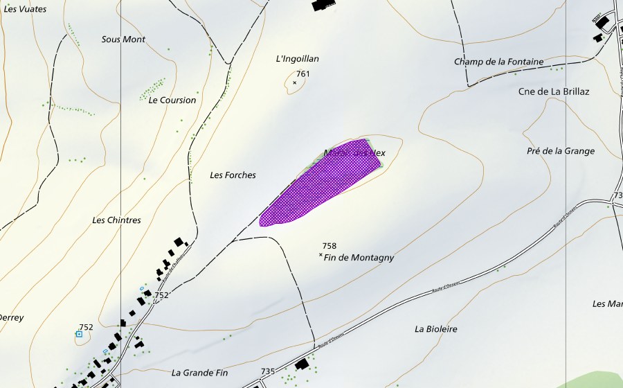 Carte nationale swisstopo avec le périmètre protégé de Les Nex (Site de reproduction de batraciens)