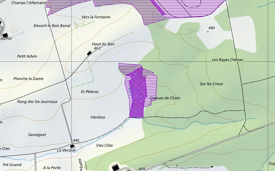 Carte nationale swisstopo avec le périmètre protégé de Les Queues de Chats (Site de reproduction de batraciens)