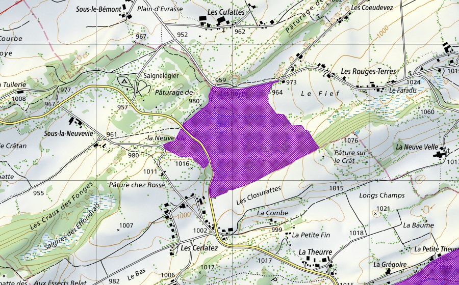 swisstopo national map showing the protected perimeter of Les Royes (Amphibian spawning site)