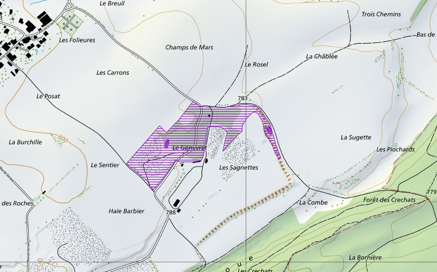Landeskarte swisstopo mit dem Schutzperimeter von Les Sagnettes (Amphibienlaichgebiet)