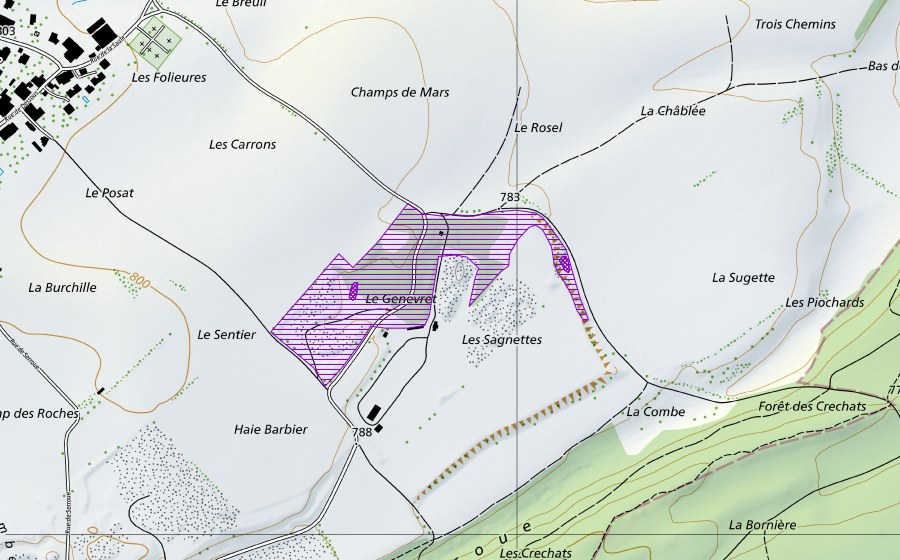 Carte nationale swisstopo avec le périmètre protégé de Les Sagnettes (Site de reproduction de batraciens)