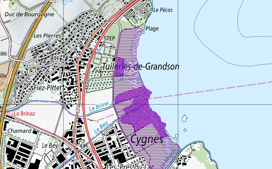 Carte nationale swisstopo avec le périmètre protégé de Les Vernes (Site de reproduction de batraciens)
